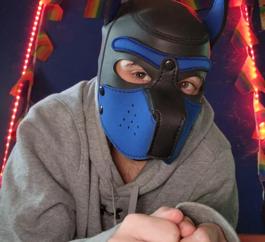 Is it playtime yet?? 🦴💙