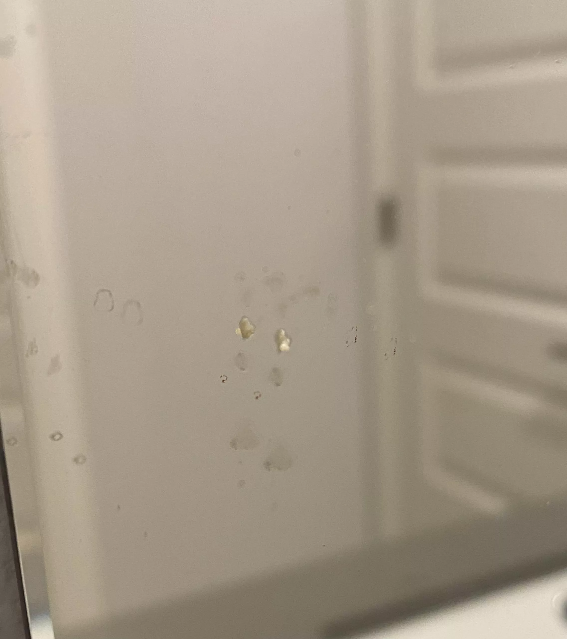 Just Popped A Big, Juicy Zit On My Chin. It Made A Sound As The Contents Splattered On My Bathroom Mirror.