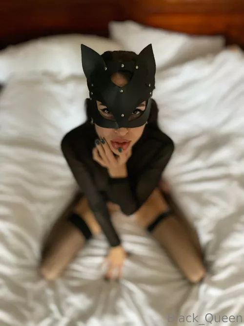 [OC]Who wants to play with the kitty?🐈‍⬛