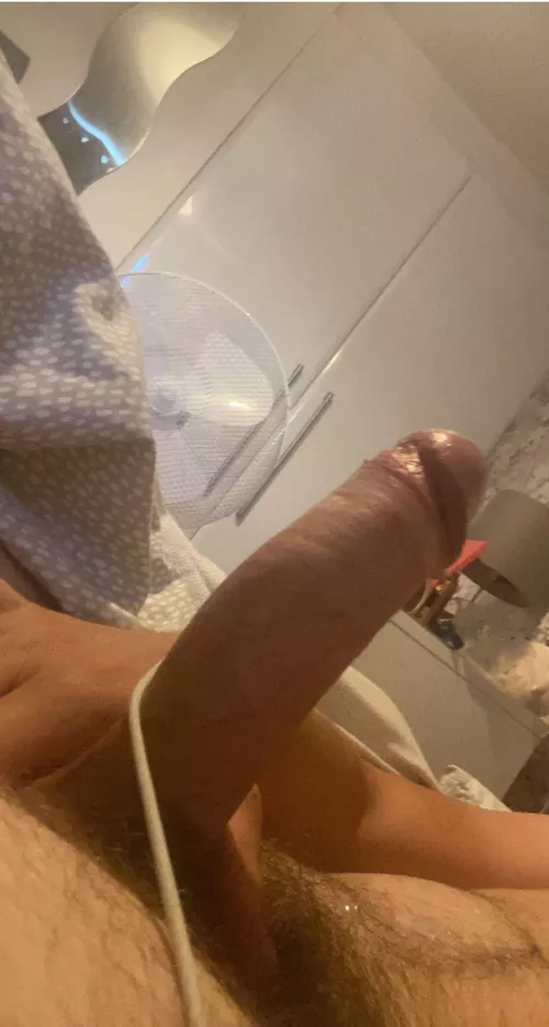 19 M UK looking for some fun w a sissy/trans girl hmu 😋😉