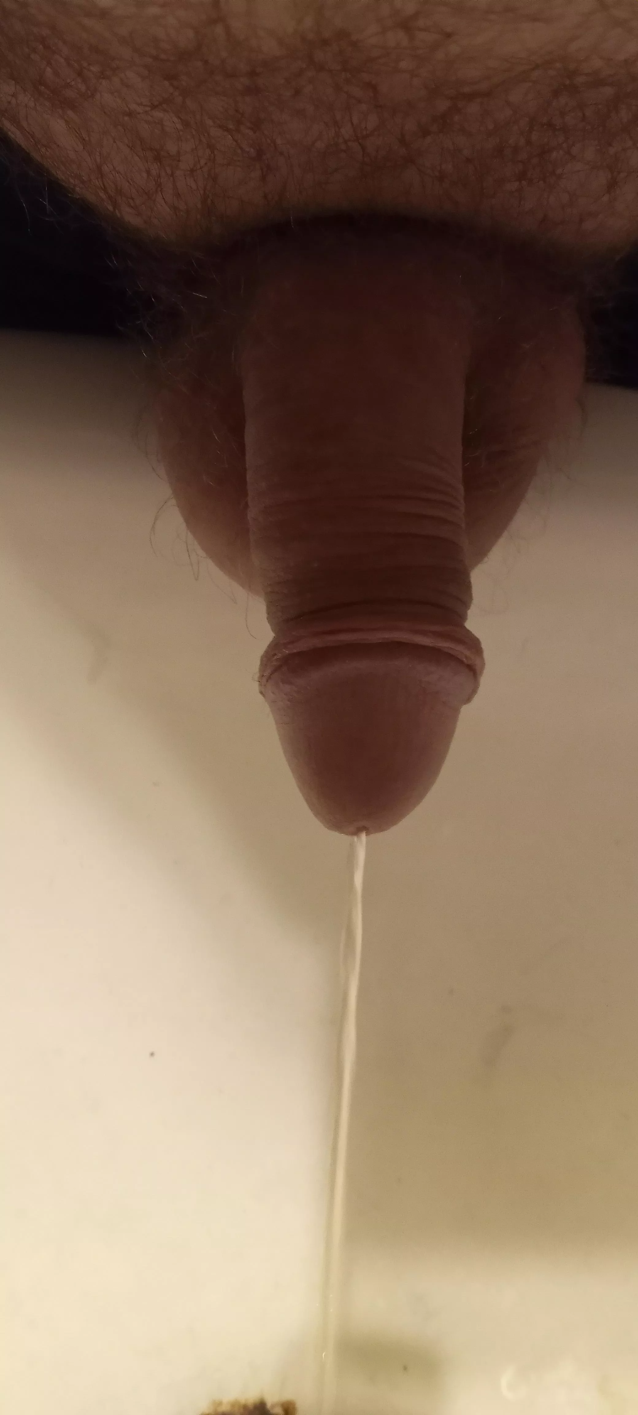 37(M) My soft dick pissing in my sink what do ya think? First time poster.