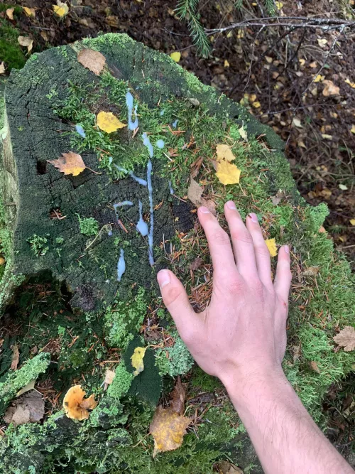 Had to pull over and shoot a load, I was way too horny! 💦