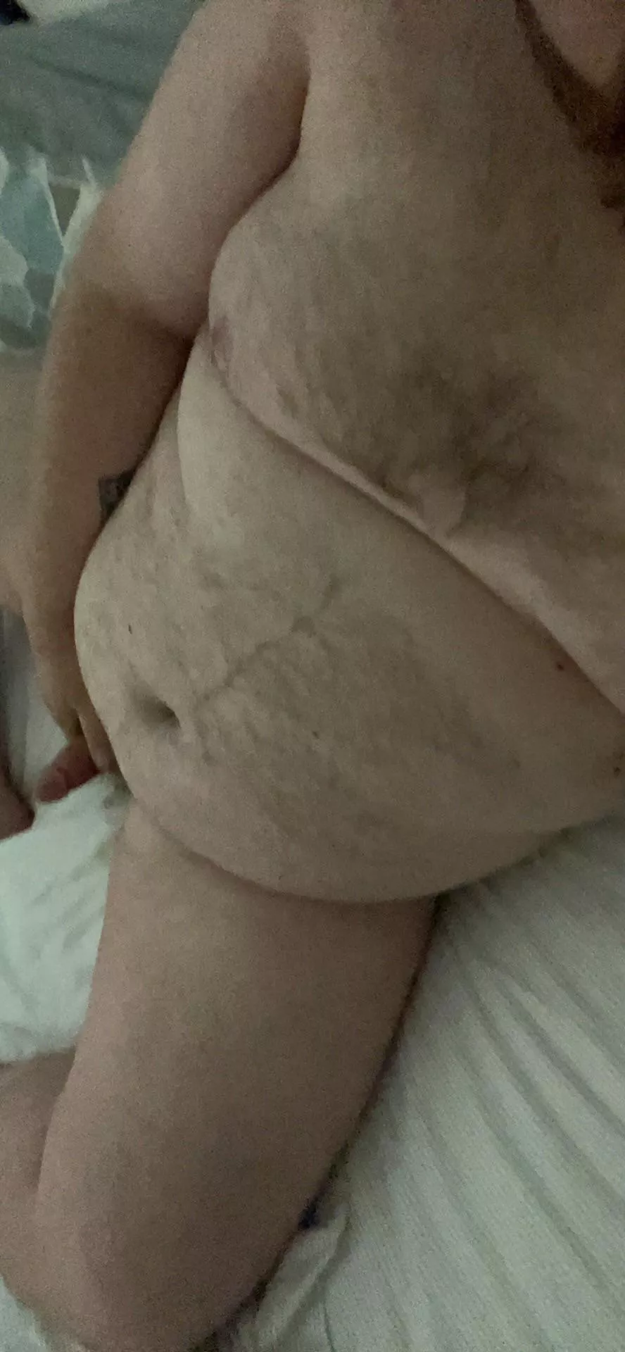 New here what are your thoughts