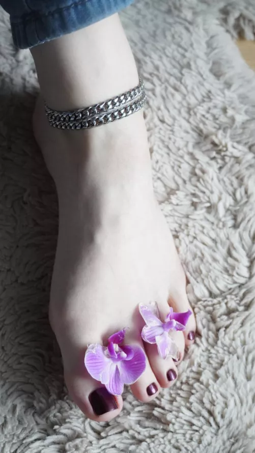 they are delicate as a flower and you should treat them as such 🤭🌸