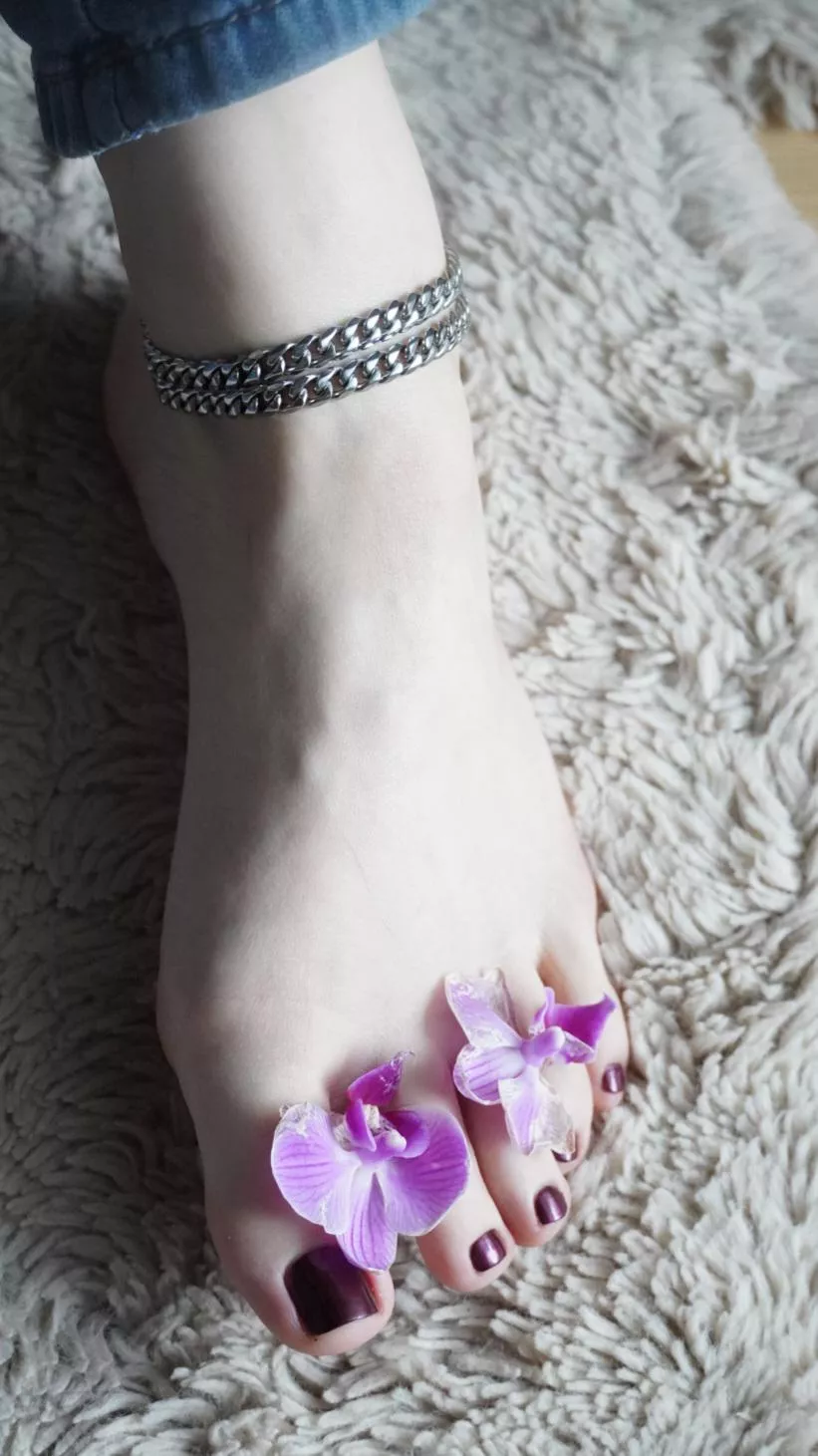 they are delicate as a flower and you should treat them as such 🤭🌸