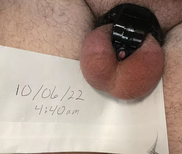 Day 6 of Locktober but going on 3 weeks for me. I hope you like my swollen balls and locked up dicklet.