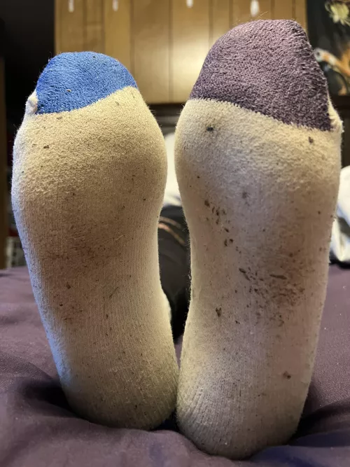 Do you enjoy smelly socks? You’ll love these. 😁😁