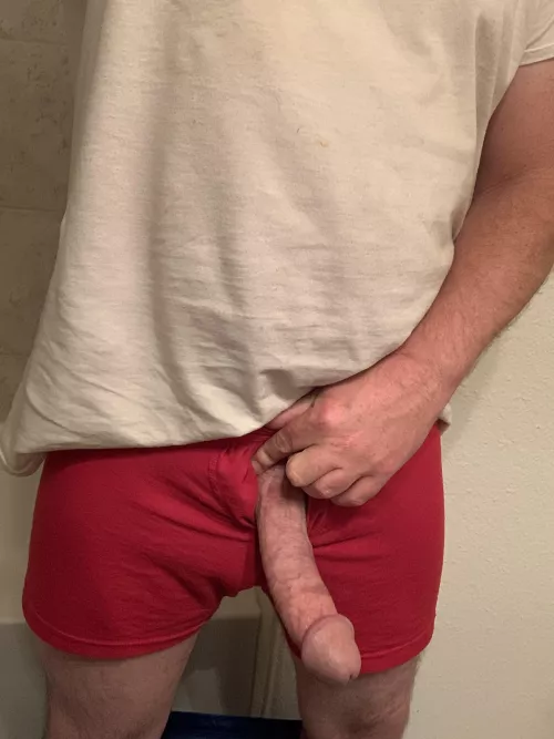 Every Wednesday after scrolling the “Happy Hump Day” pics