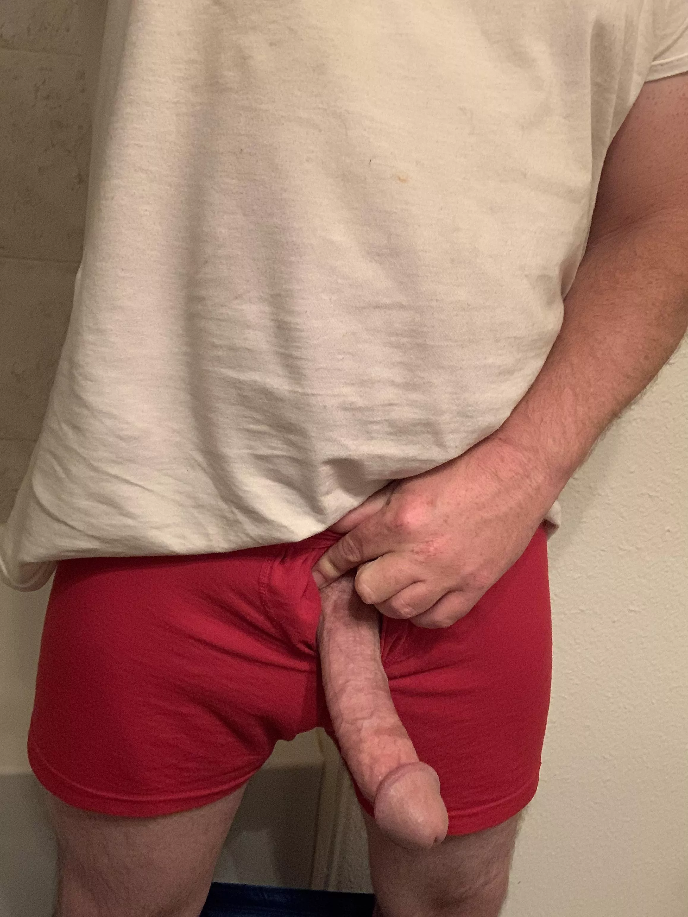 Every Wednesday after scrolling the “Happy Hump Day” pics