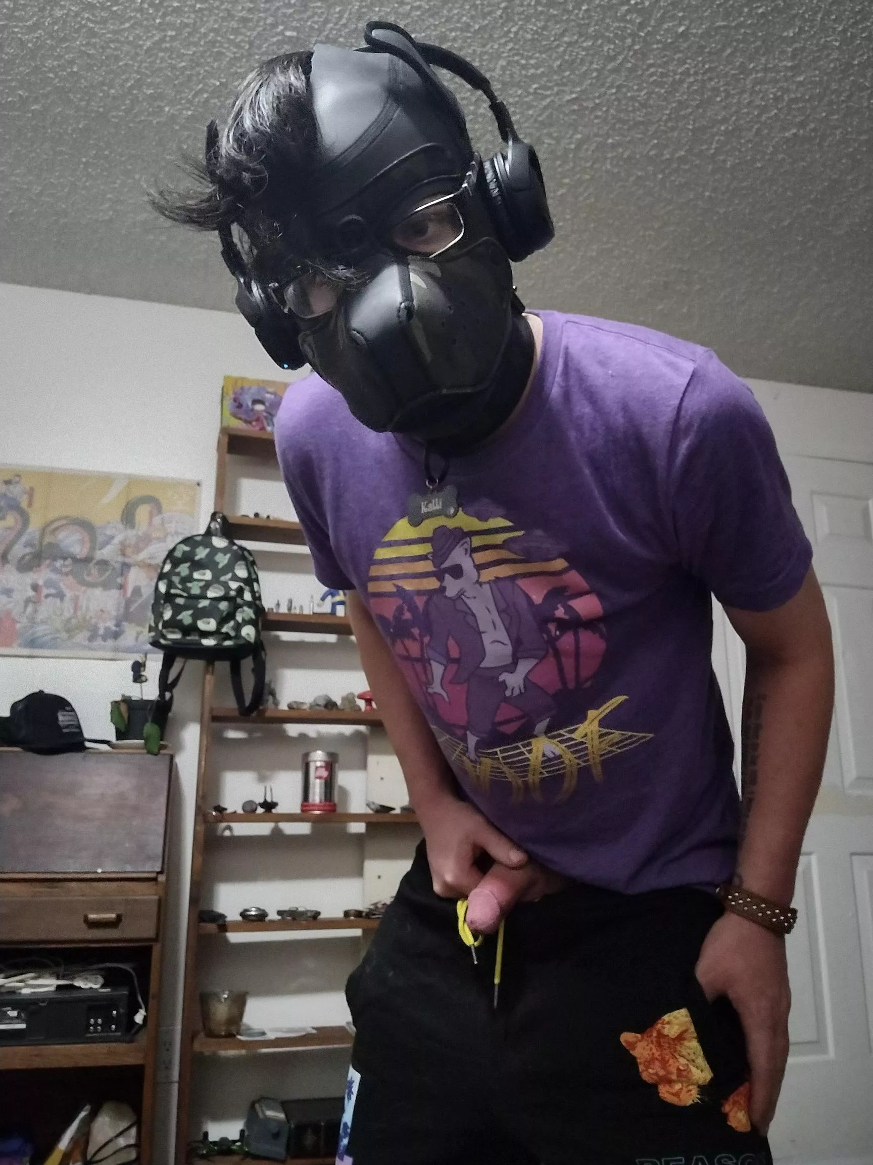 I know it's Locktober but when the cat's away the pups will play 😎