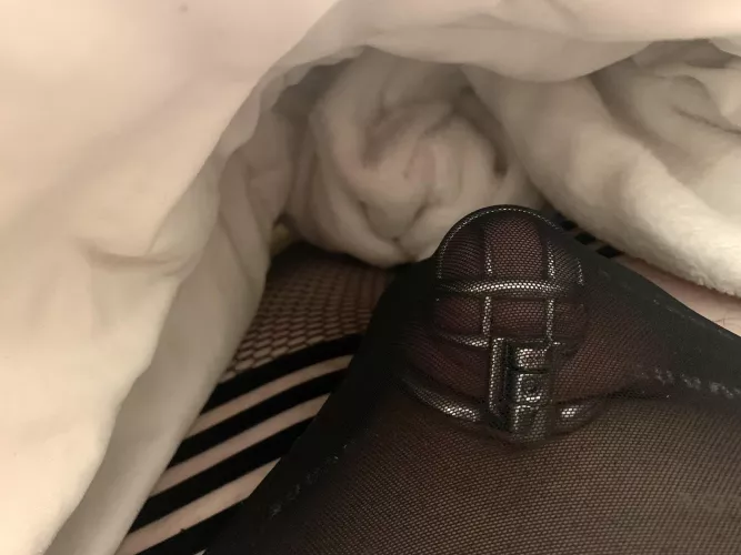 i love my cage 🥺 💕