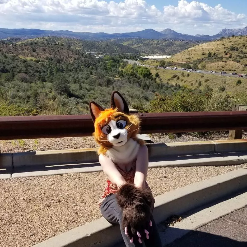 Little cat, big valley