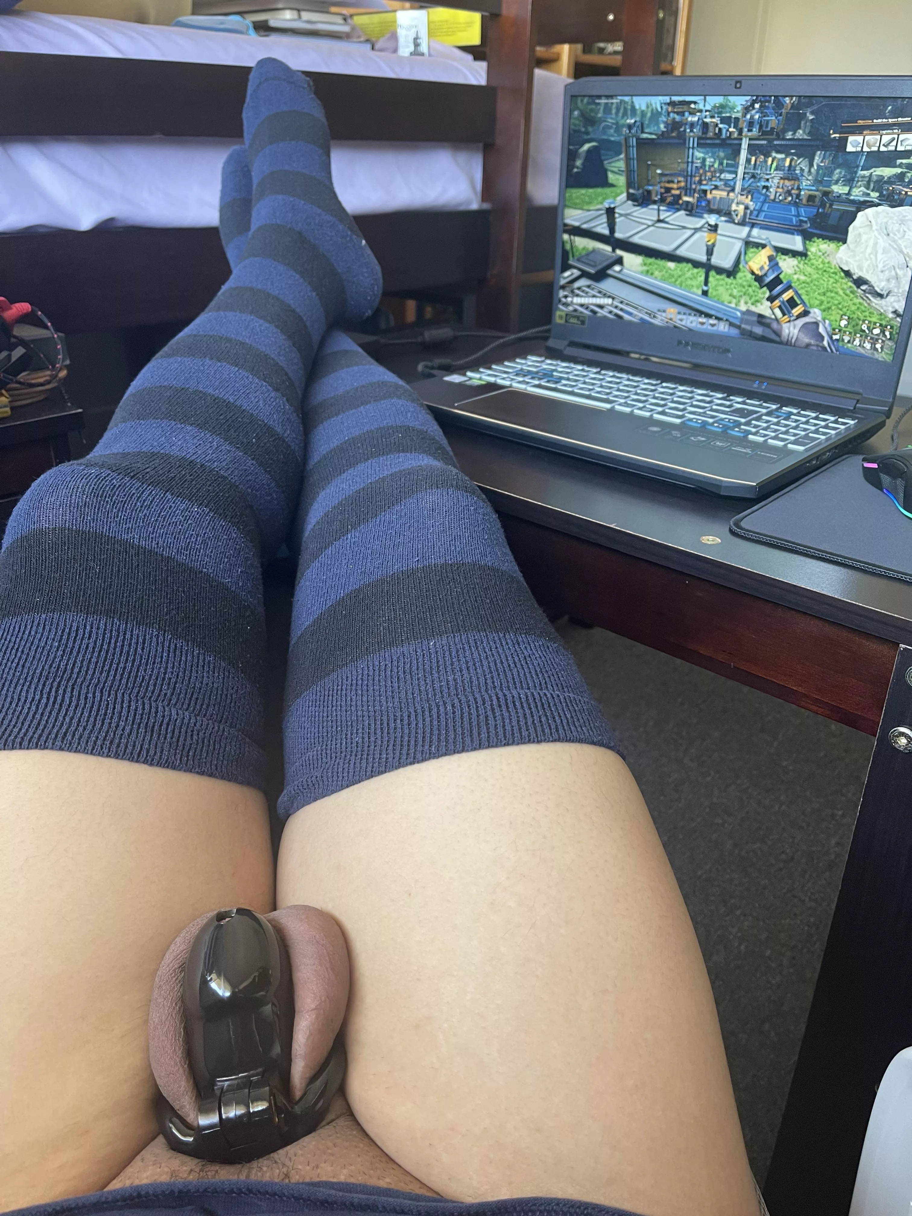 Only 5 days into locktober and I’m already desperate for distractions!