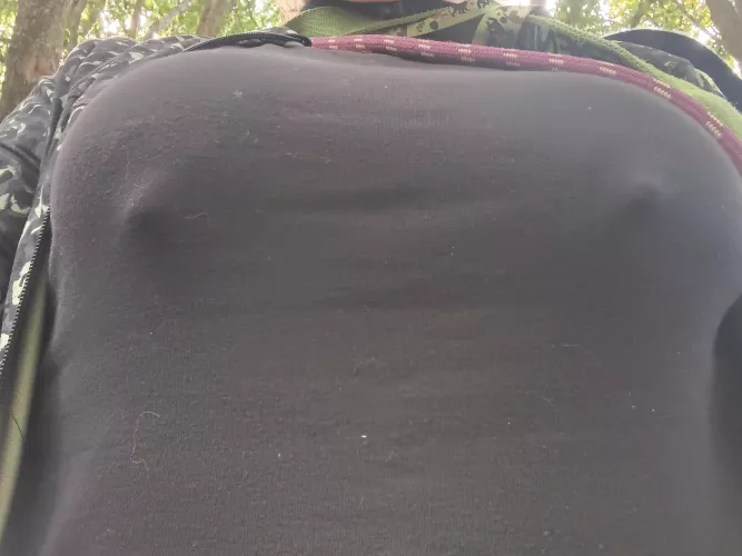 a nippy dog walk today!