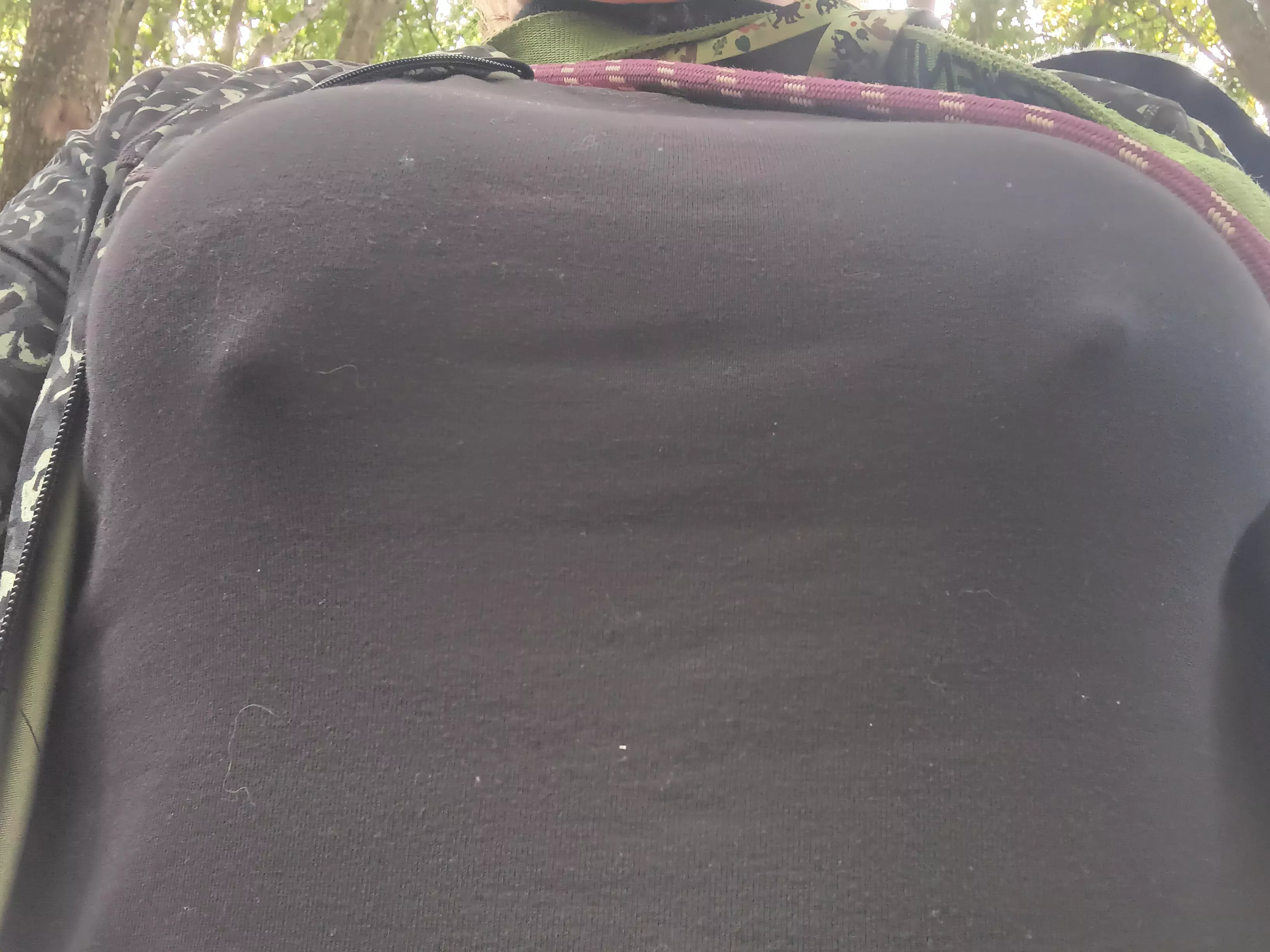 a nippy dog walk today!