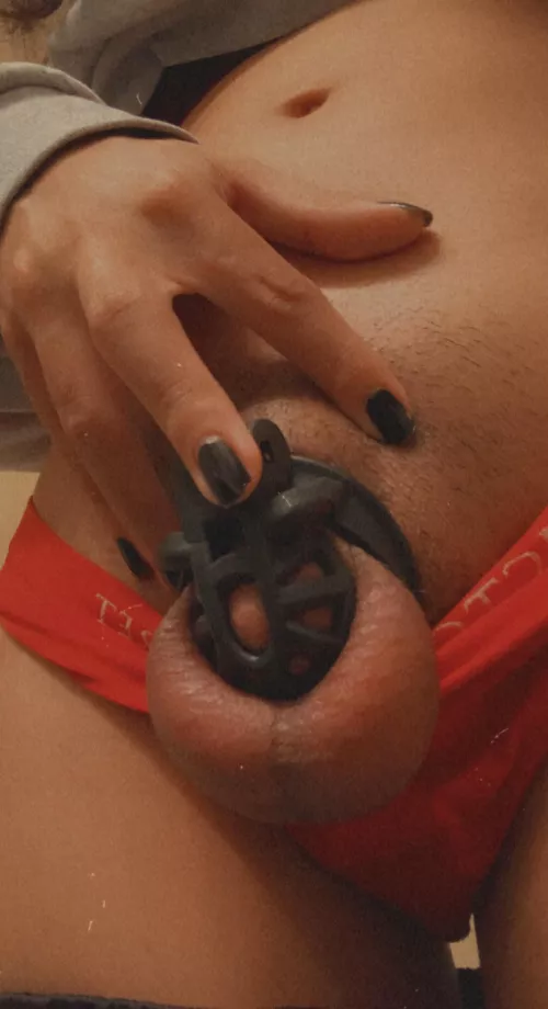 Day 6 😵‍💫😵‍💫 (trans girl)