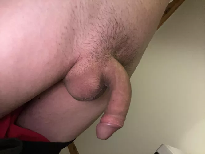 I’ve been told I’m a shower and a bit of a grower! Chat with me!