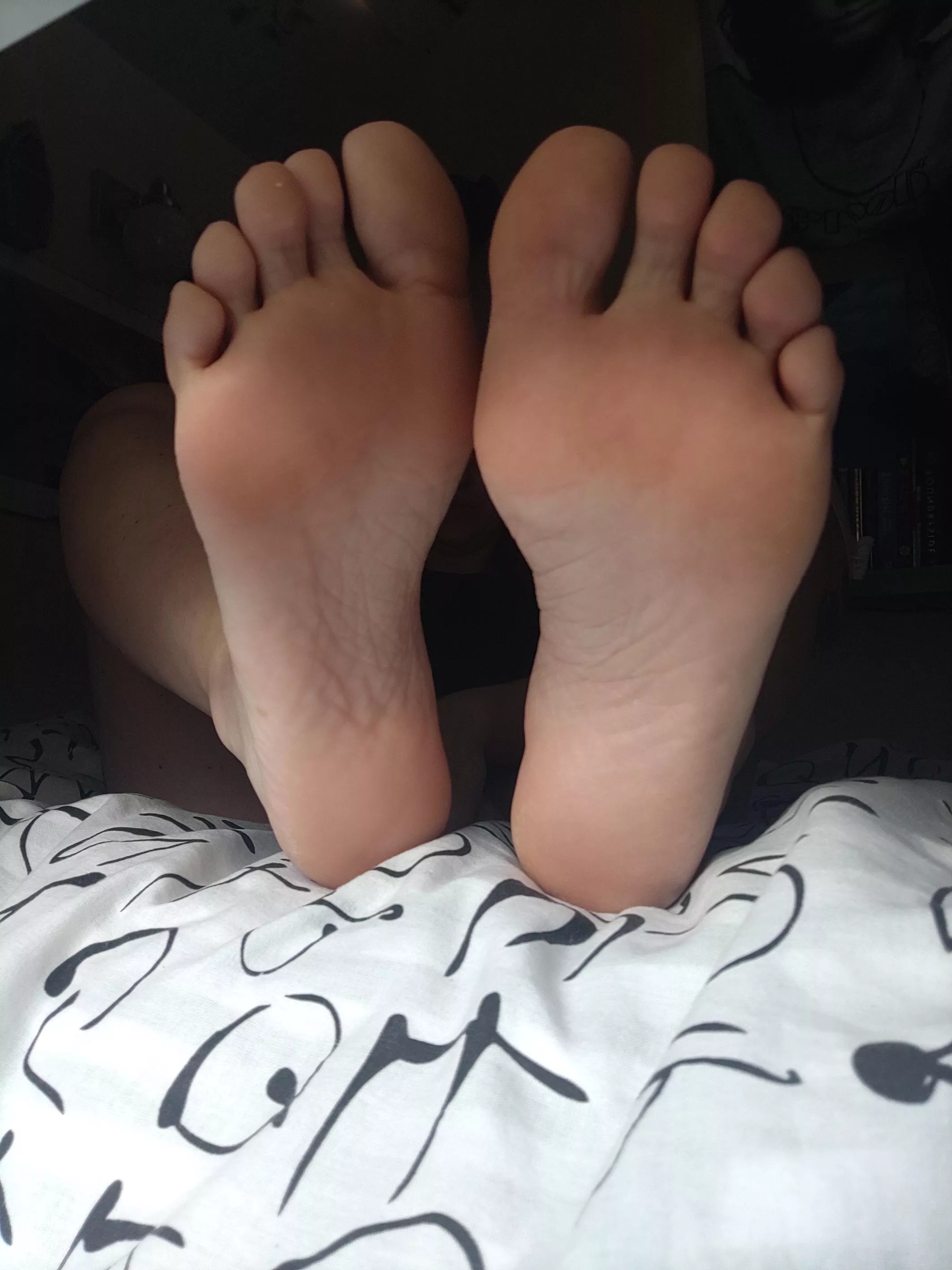 POV Your Neighbours Window 👣