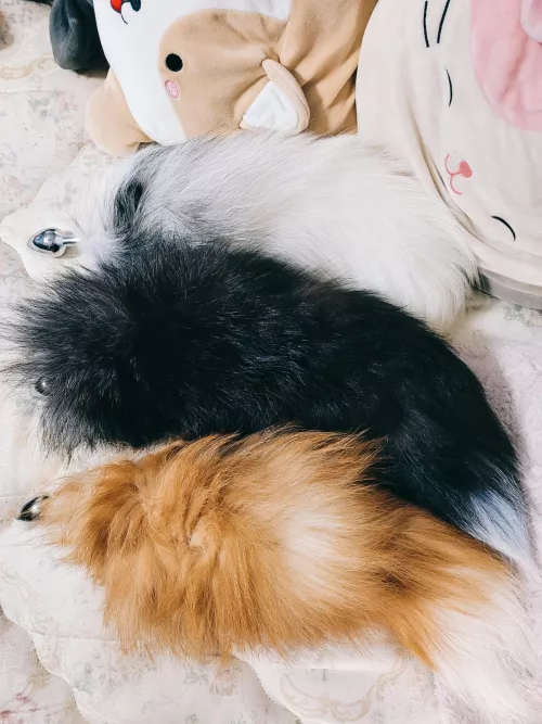 tail plugs ❤️