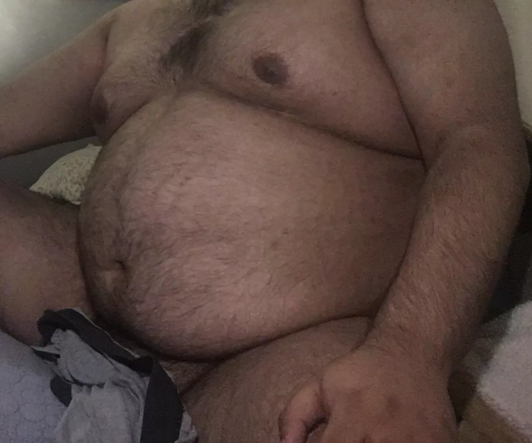 Bear cub growing to bear