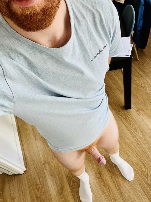 Ginger & white socks !