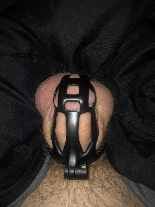 I was waiting for my cage in the mail so I’m starting locktober on my birthday, 8 days late. Should I have to wait an extra 8 days in November to make up for it?