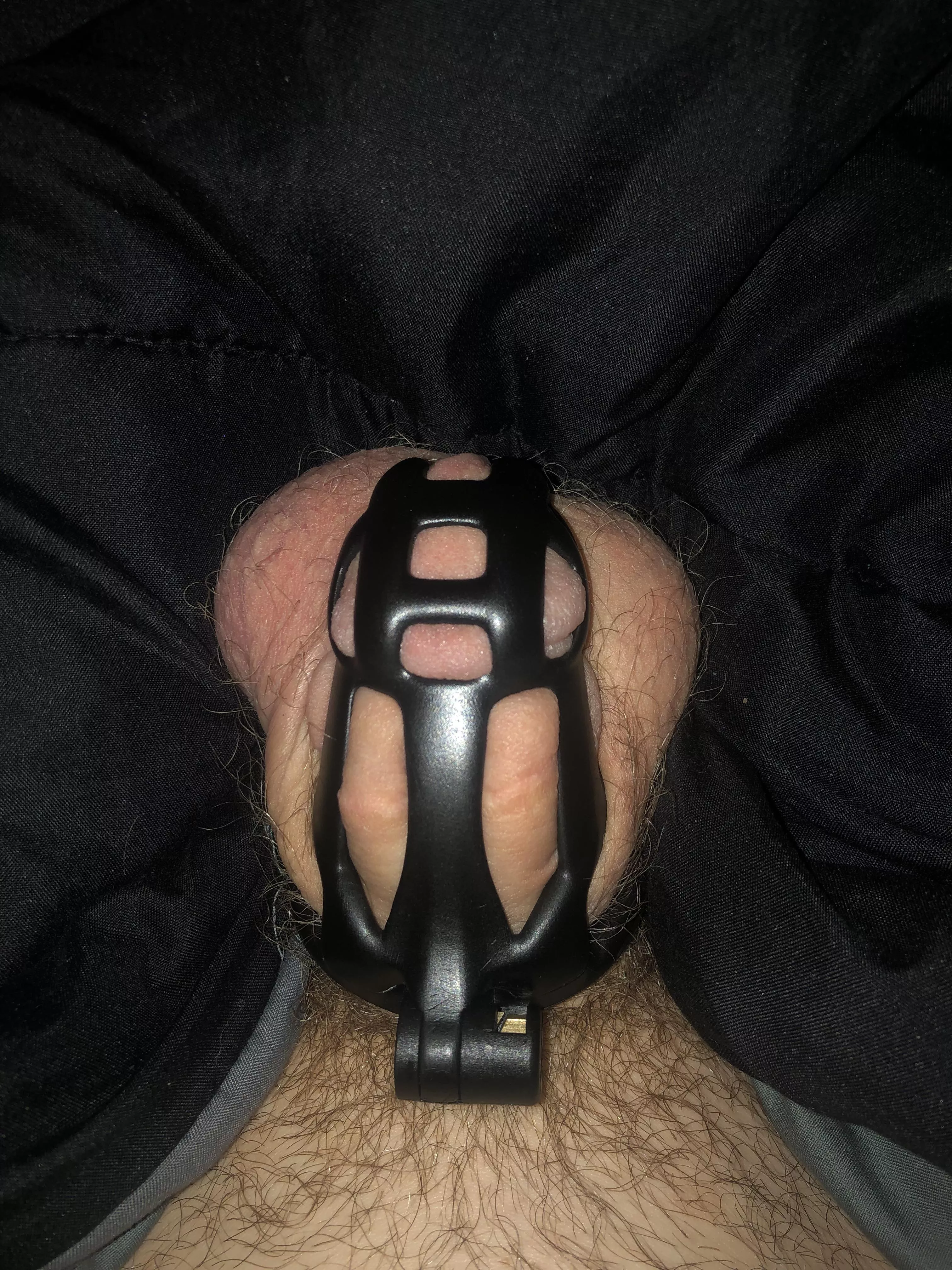I was waiting for my cage in the mail so I’m starting locktober on my birthday, 8 days late. Should I have to wait an extra 8 days in November to make up for it? I was waiting for my cage in the mail so I’m starting locktober on my birthday, 8 days late. Should I have to wait an extra 8 days in November to make up for it?