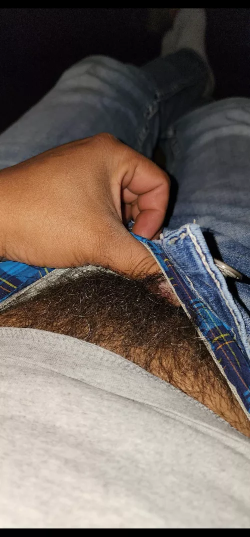 Like the Bush sticking out?