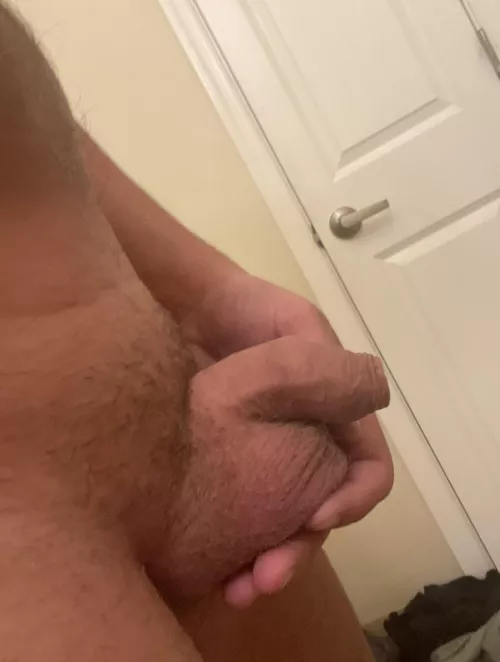 Morning uncut softie 31 US