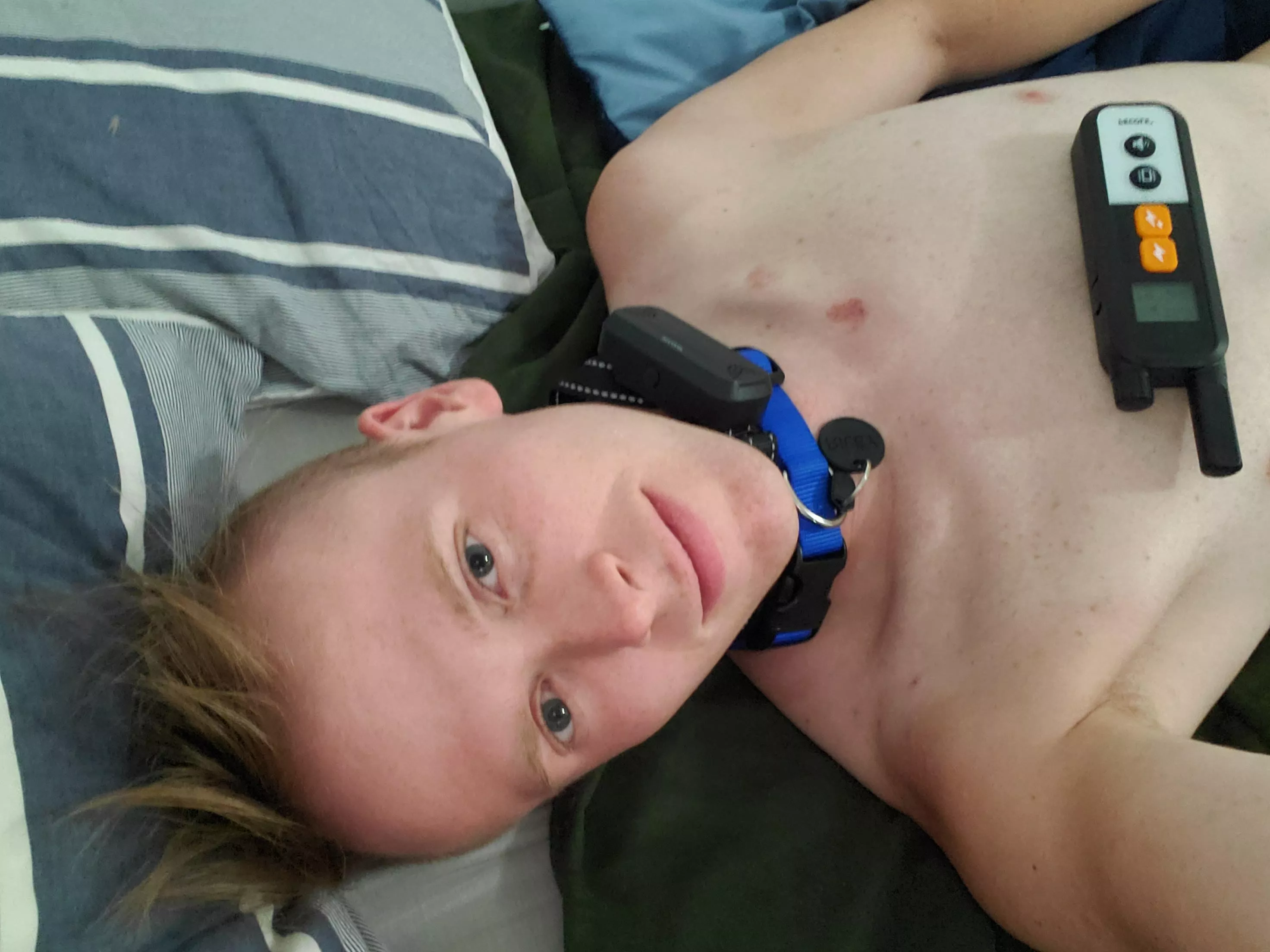 why dontcha pick up that remote and make sure this puppy gets the training they deserve ~