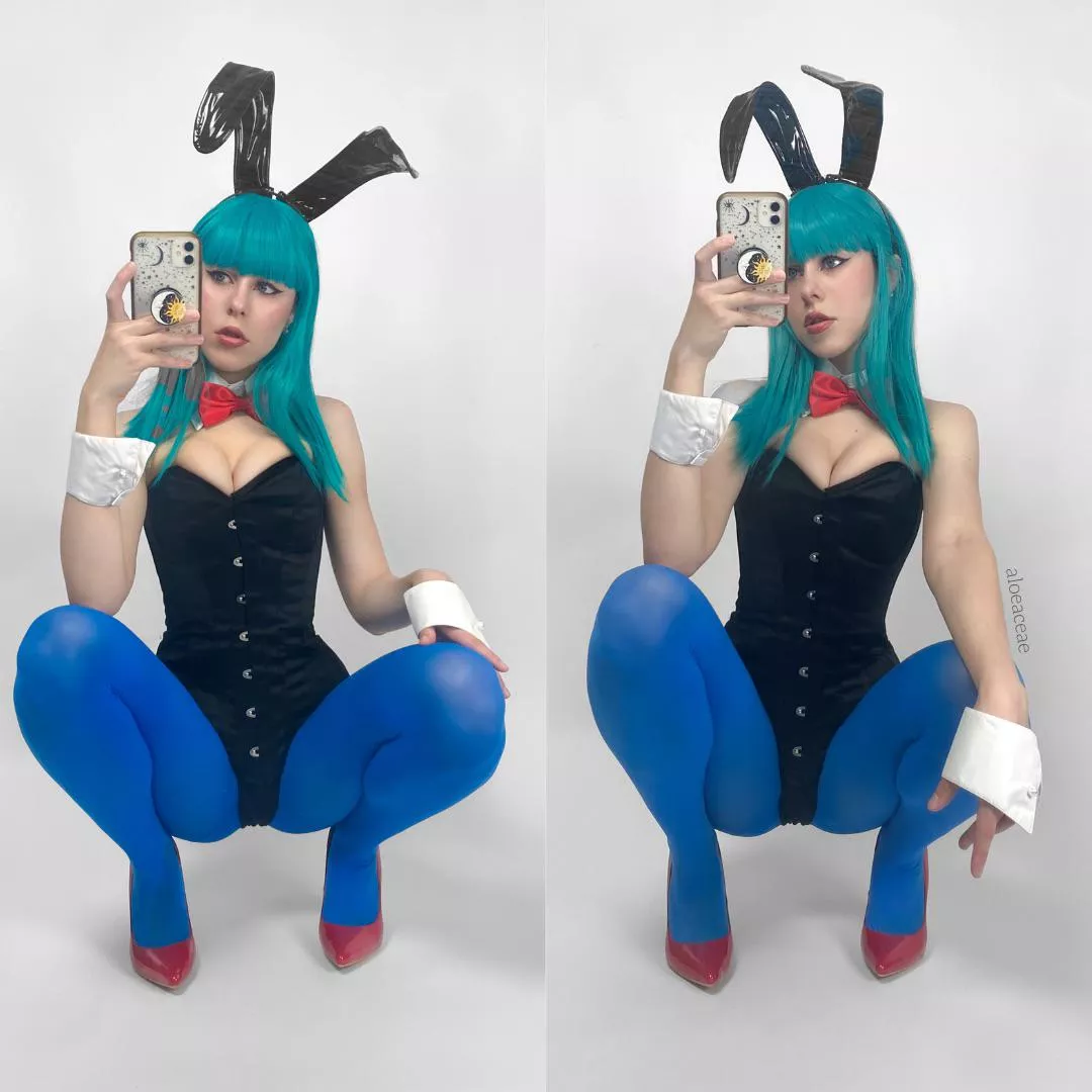 Bulma bunny by Aloeaceae