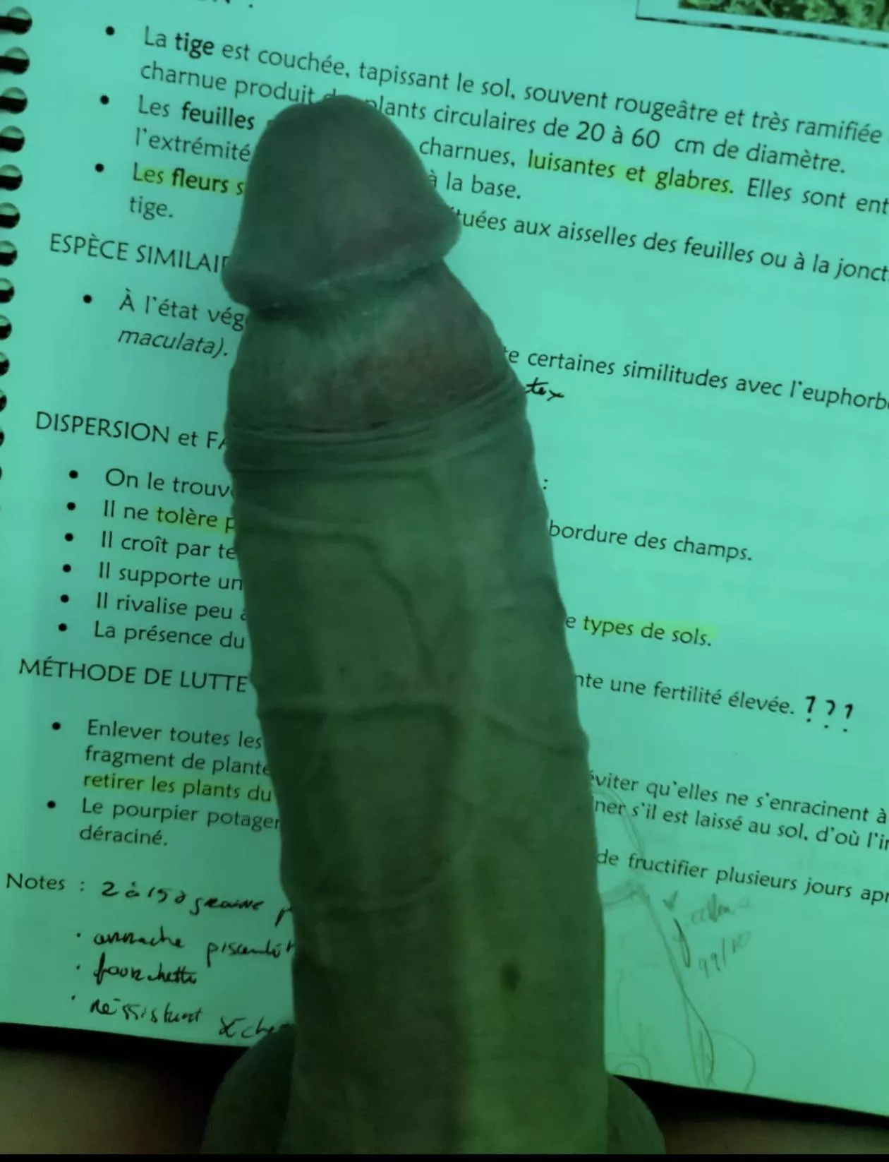 Can’t get cock out of my mind !