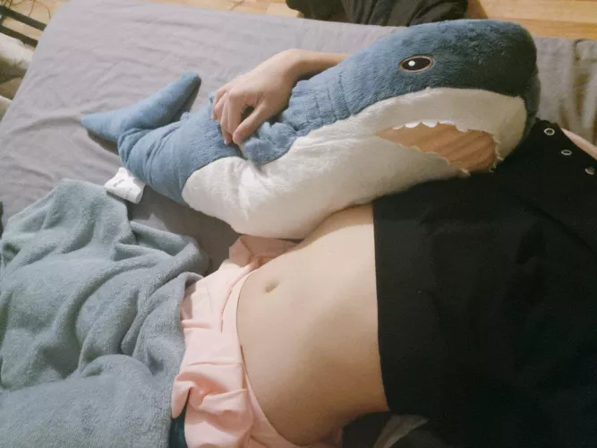 chilling with blahaj 🤭