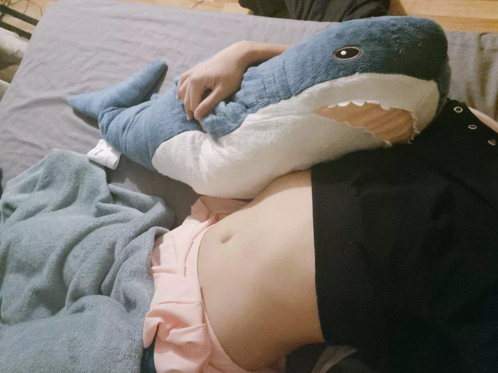 chilling with blahaj 🤭