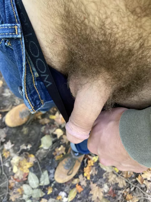 Had to pull over and let this guy air out on today’s hike. 🍁