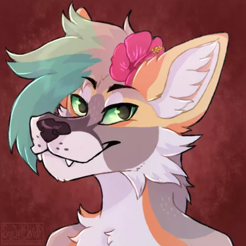 🌺🌺🏜(@ScarlettWolf24)