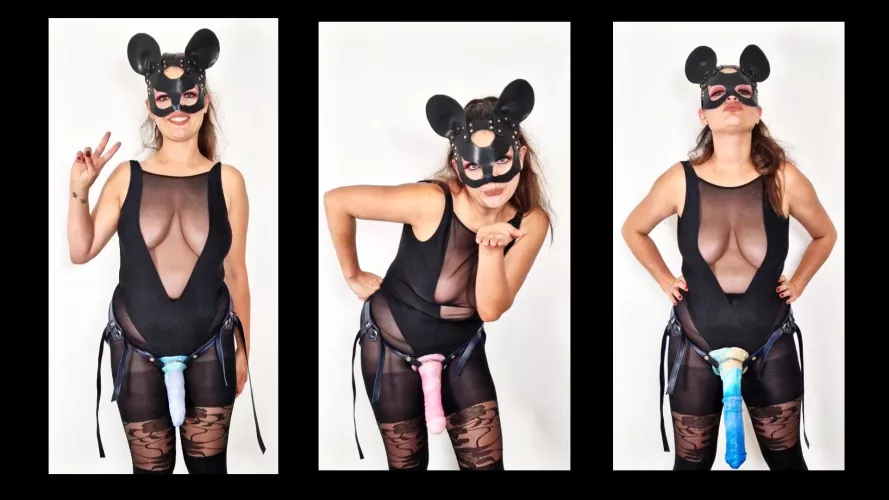 Which one would you choose?