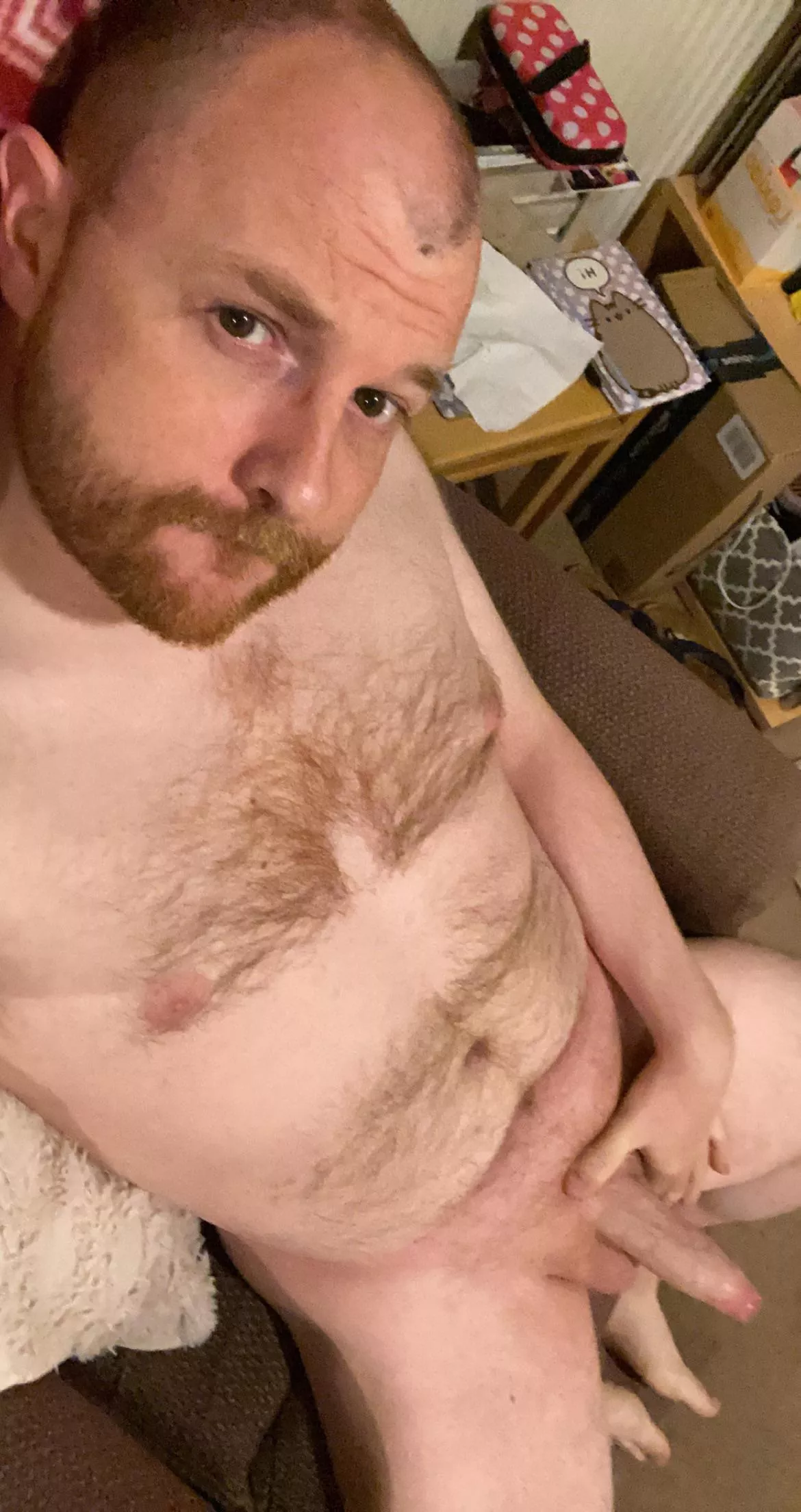 Beard and Dad Bod