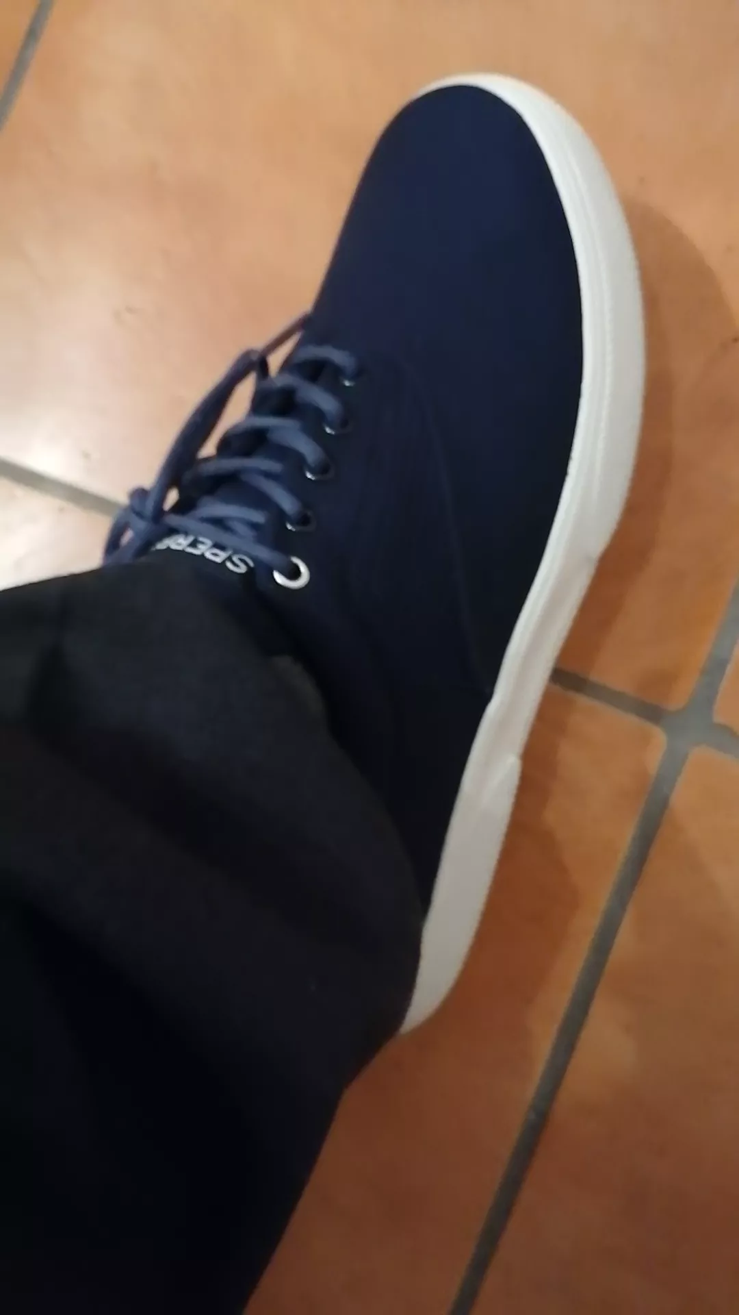 brand new shoes. anyone wanna be stepped on