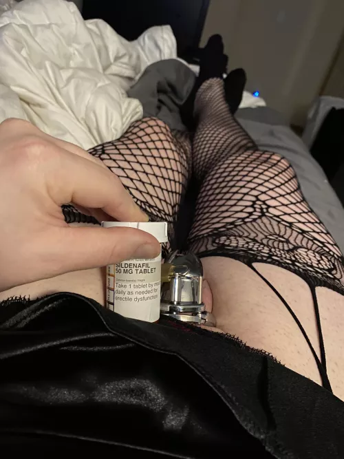 Dressed Up, Lubed Up, Locked Up, Full of Viagra and waiting for you!