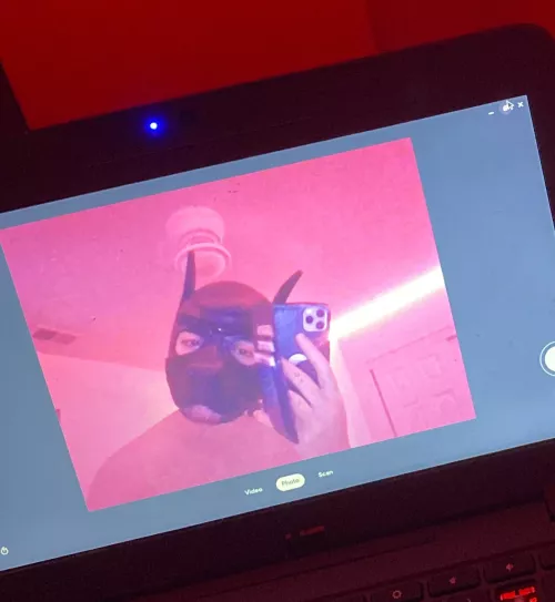 First pup selfie 💪