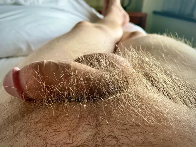 Glowing in the afternoon sun