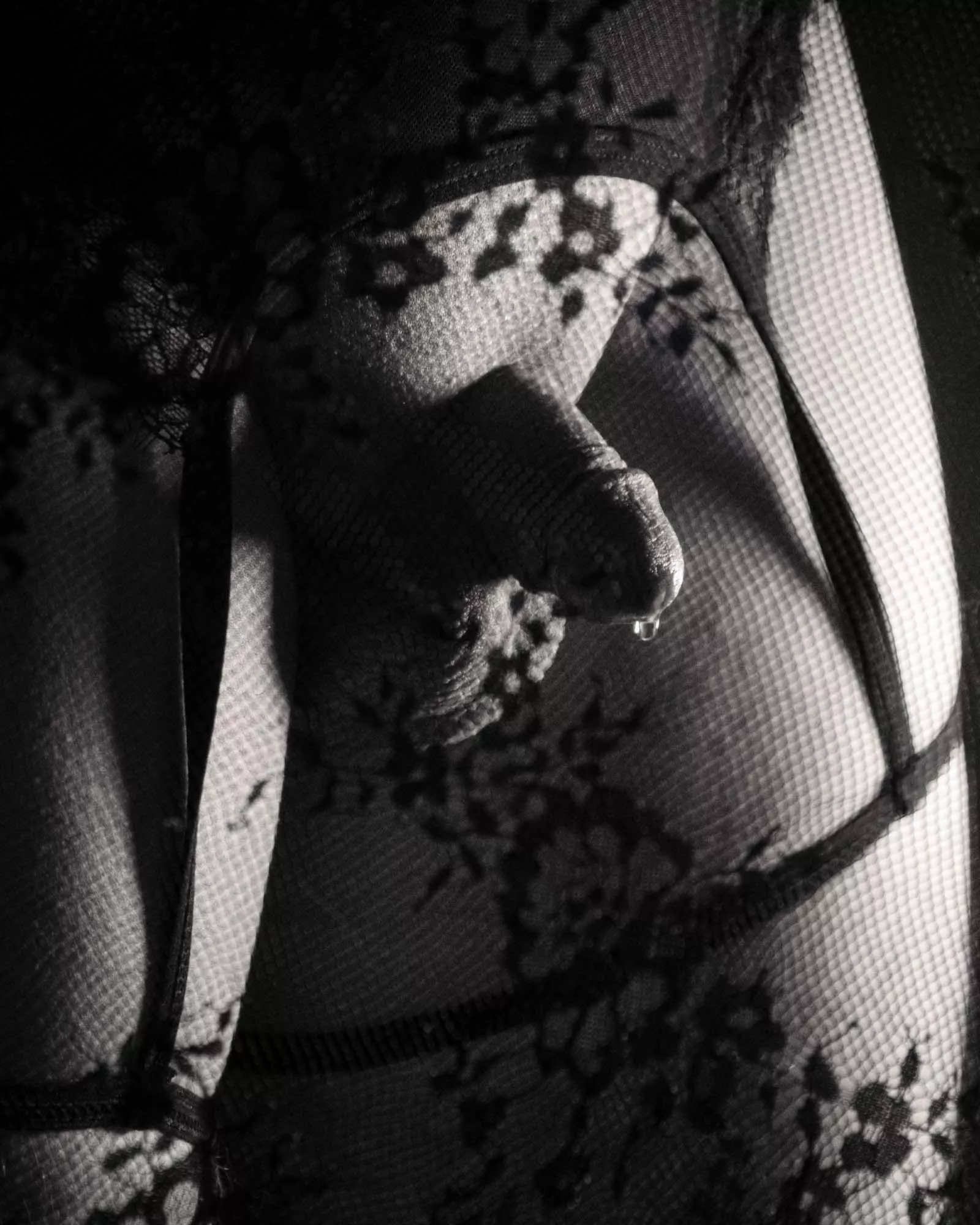 High contrast appeal