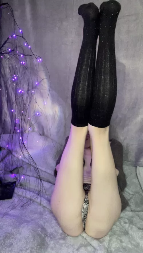 Hope this brightens your day ;)