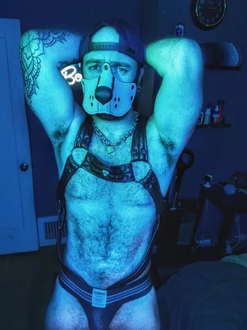 I’m a good boy and a bad dog.