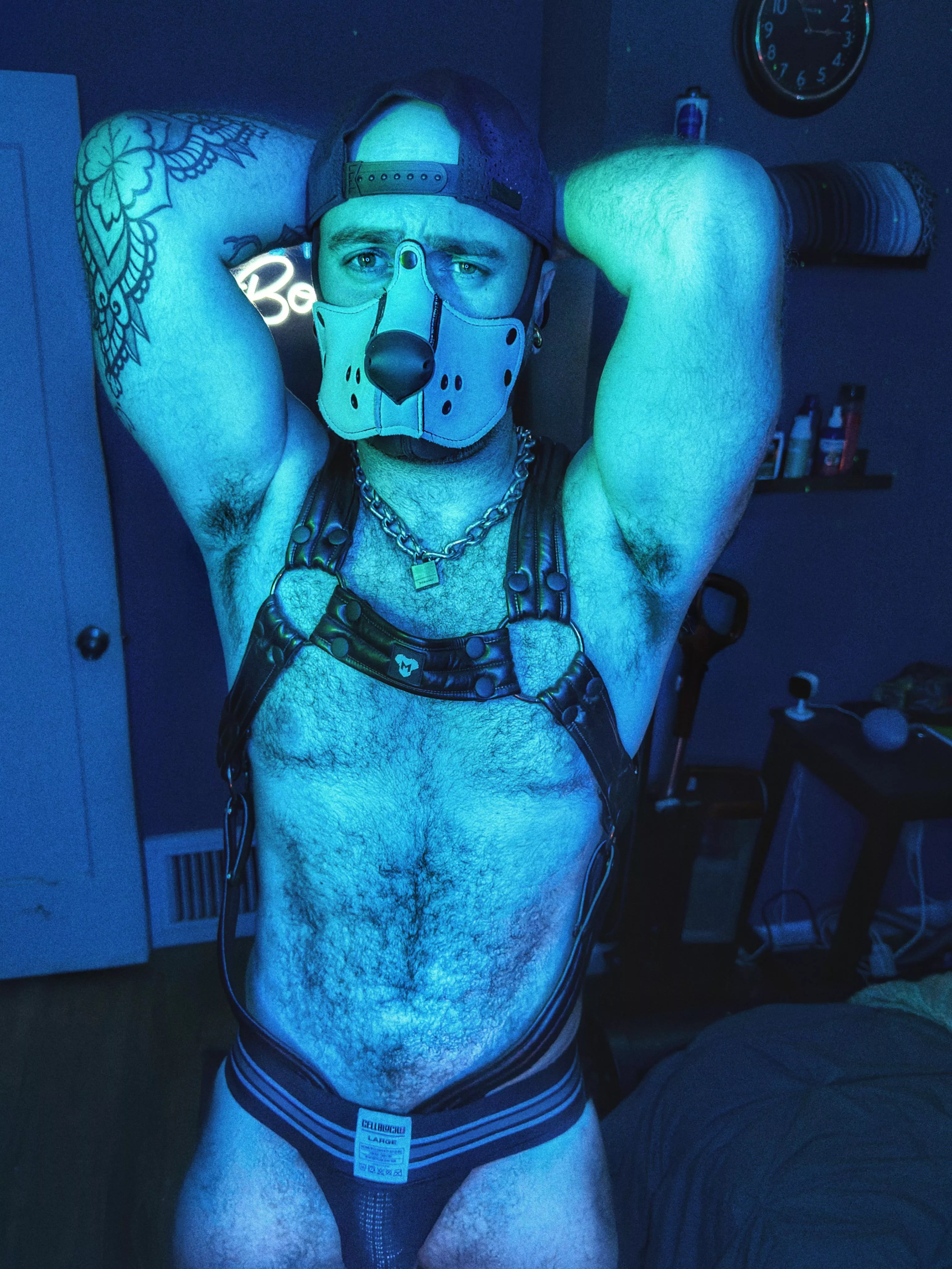 I’m a good boy and a bad dog.