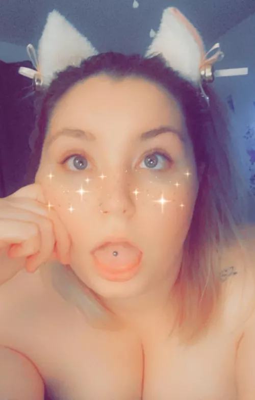 Kitten wants to be (f)illed