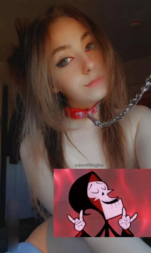 new collar ❤️🐶