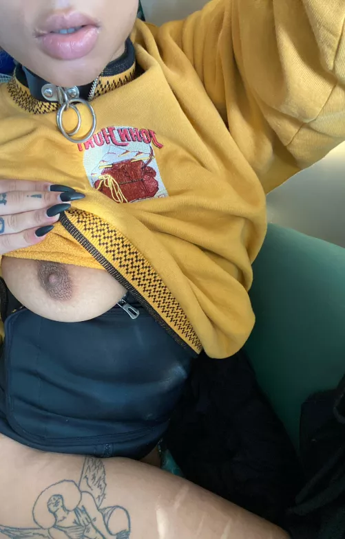 Owners & collared subs! Do you/your sub have different collars for different occasions or just one for everyday?