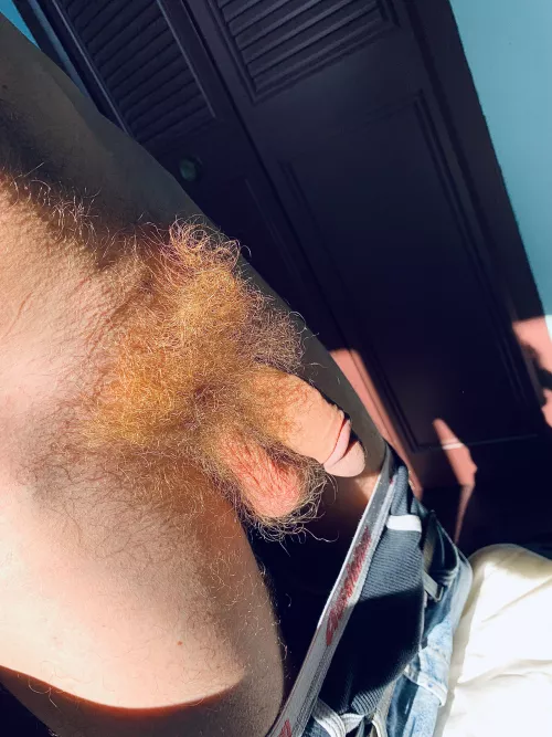 Proud to have the Amazon rainforest between my legs.